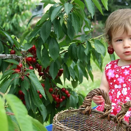 Gut Huegle Erlebnishof & 4*