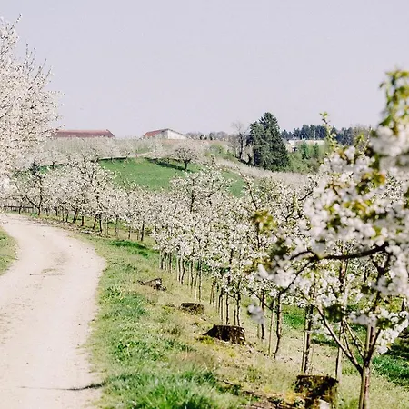 Gut Huegle Erlebnishof & Apart-hotel 4*