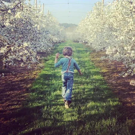 Gut Huegle Erlebnishof & Lägenhetshotell 4*