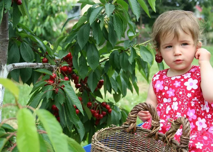 Gut Huegle Erlebnishof & 4*