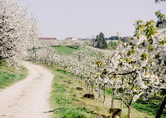 Gut Huegle Erlebnishof & Hotel apartamentowy 4*