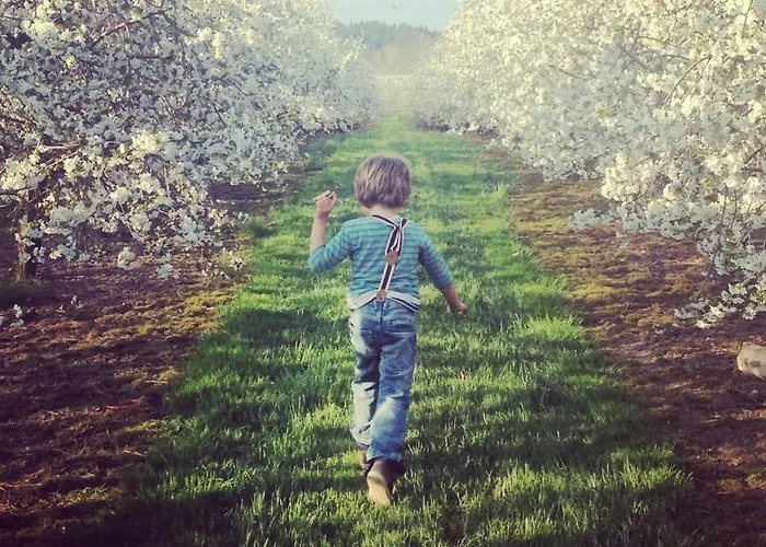 Gut Huegle Erlebnishof & Hotel apartamentowy 4*